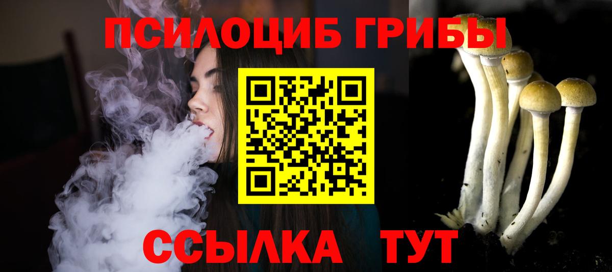где найти наркотики  Псилоцибиновые грибы MAGIC MUSHROOMS  Псилоцибиновые грибы GOLDEN TEACHER  Вход с VPN  Ревда 